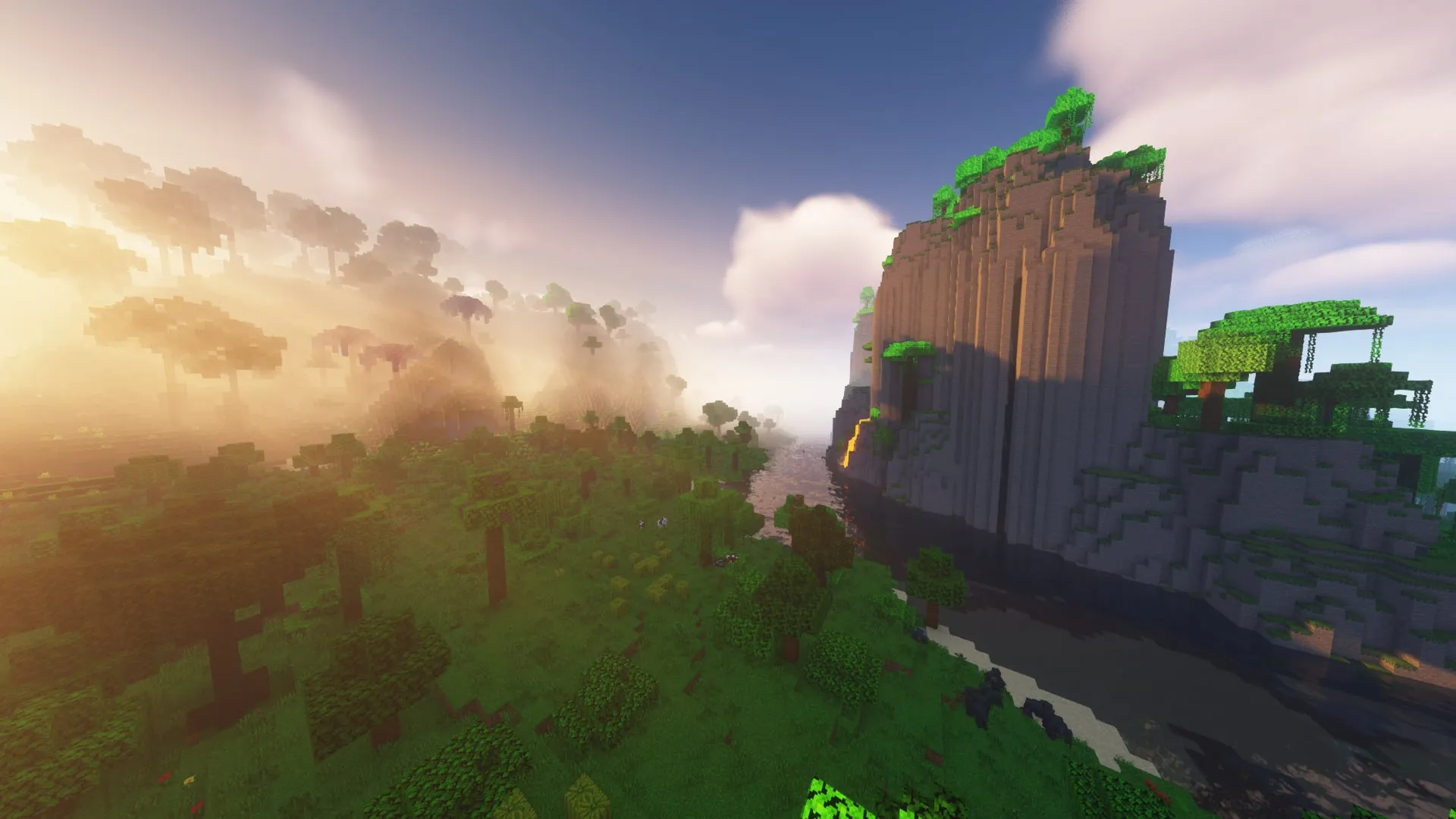 A jungle biome at sunrise in Minecraft, captured on the founder's own server